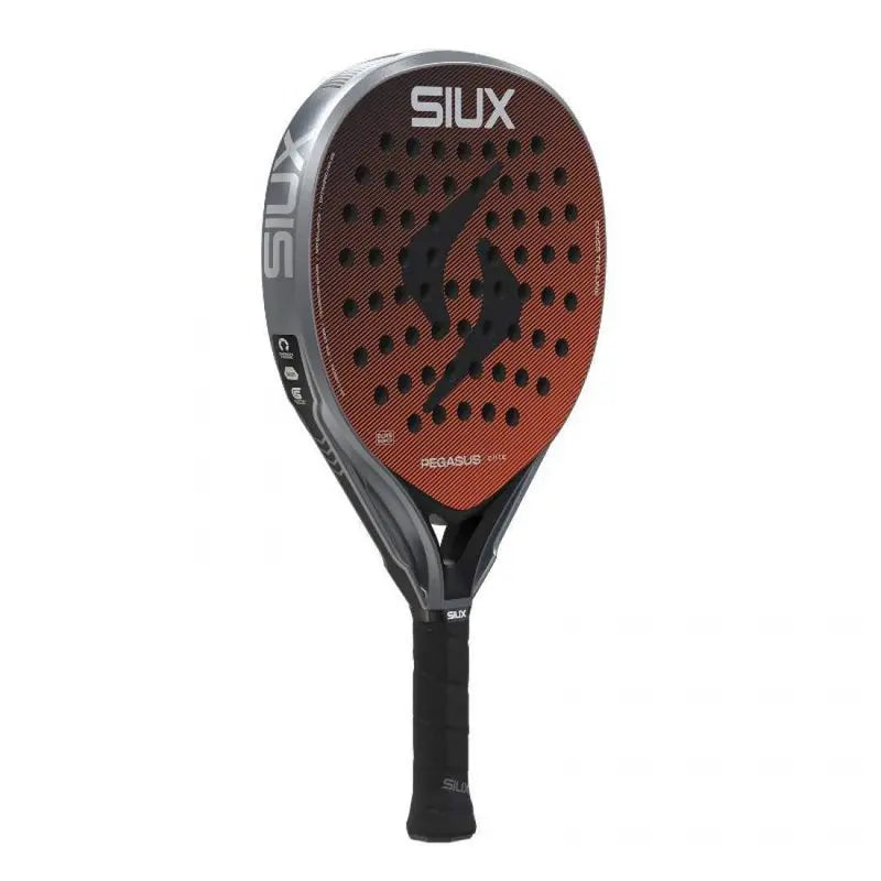 SIUX PEGASUS ELITE 4 2026