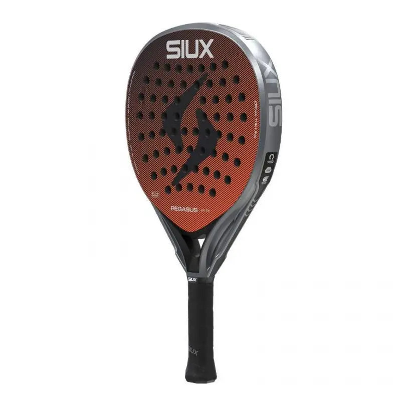 SIUX PEGASUS ELITE 4 2026