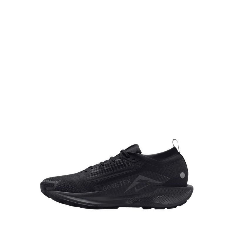 RUNNING SHOES NIKE PEGASUS TRAIL 5 GTX MEN